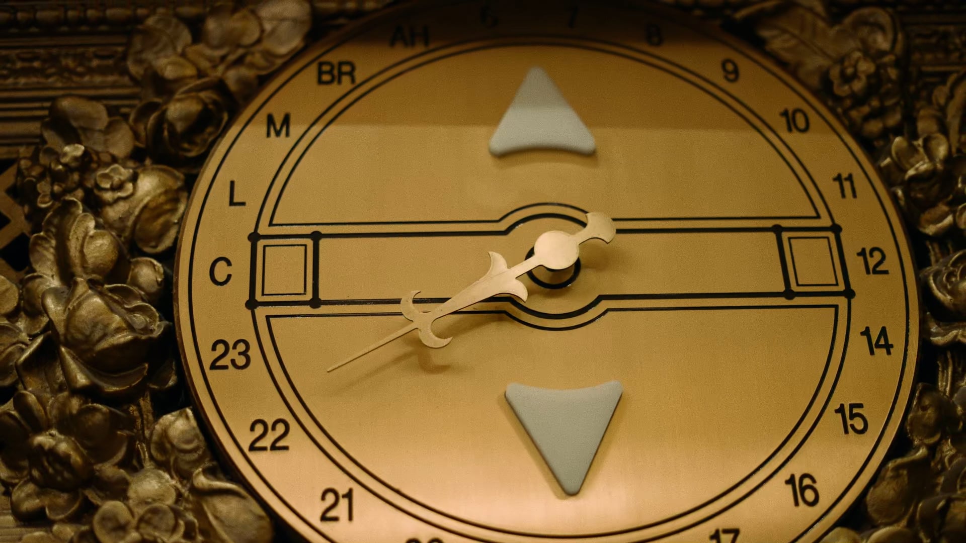 Dance Partner For Life